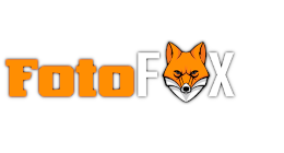 fotofox-yolo.png
